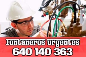 Fontanero en San Martín